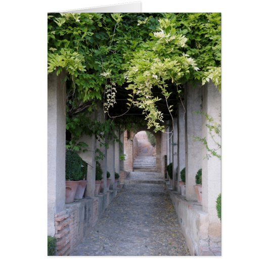 Foliage Covered Walkway, Spain Cards (Front)