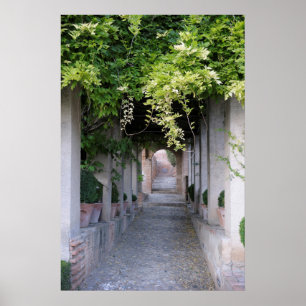 Foliage Covered Walkway, Spain Poster