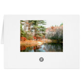 Foliage in Peak Colors Cards (Back Horizontal)