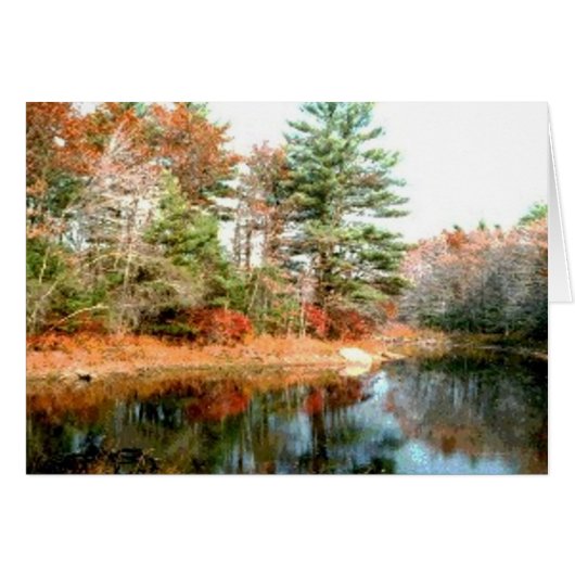 Foliage in Peak Colors Cards (Front Horizontal)