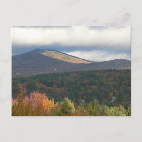 Foliage In Stowe Vermont Postcard