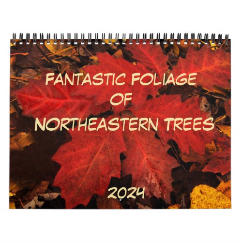 Foliage Photography Northeastern Trees 2024 Calendar