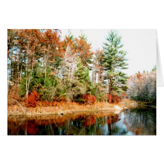 Foliage Reflections Lakeview Cards (Front Horizontal)