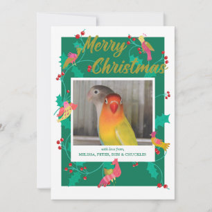 Folk Art Birds, Custom Photo Christmas Holiday Card