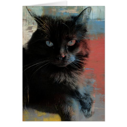Folk Art, Black Cat Red White Blue background (Front)