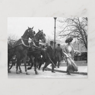 Follow Me Boys, 1908 Postcard