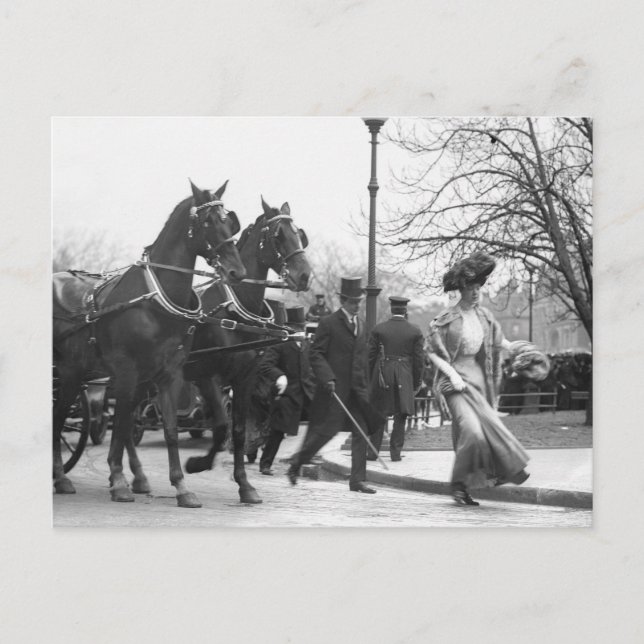 Follow Me Boys, 1908 Postcard (Front)