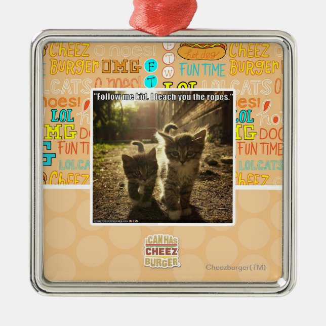 Follow Me Kid Metal Ornament (Front)