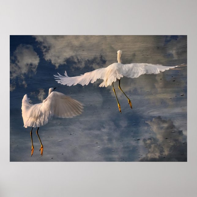 Follow Me Poster (Front)