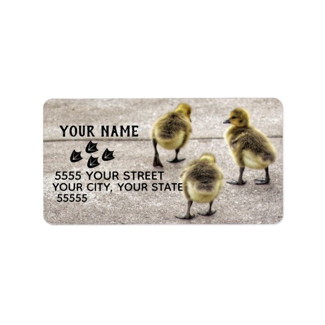 Follow the Ducks Address Labels (Front)