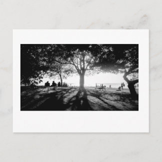 Follow the light 1 postcard