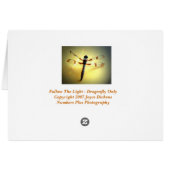 Follow The Light - Dragonfly Only Cards (Back Horizontal)