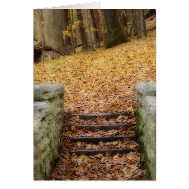 Follow the Path (Front)