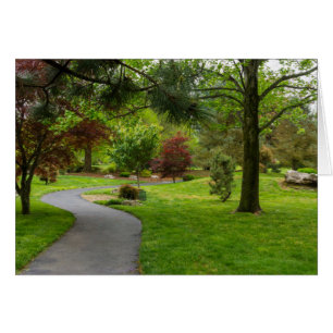 Follow The Path Pano Cards