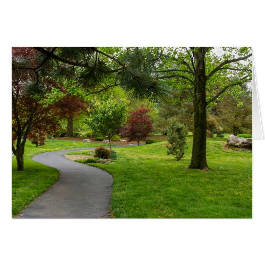 Follow The Path Pano Cards (Front Horizontal)