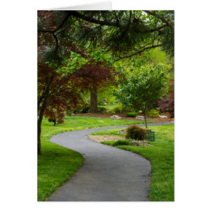 Follow The Pathway Cards