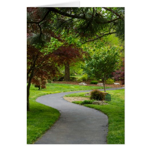 Follow The Pathway Cards (Front)