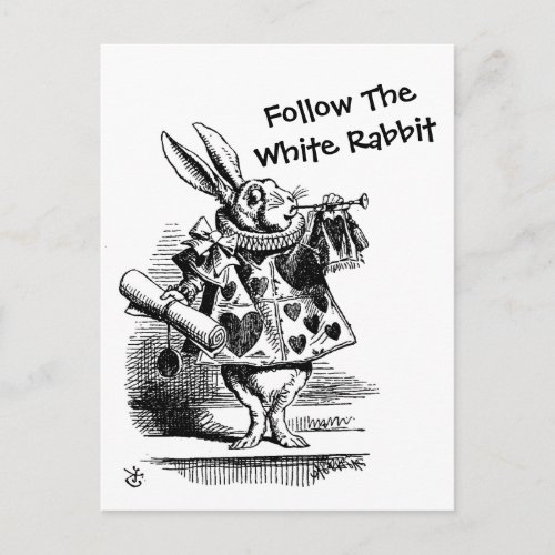 Follow The White Rabbit  CC0257 Postcard
