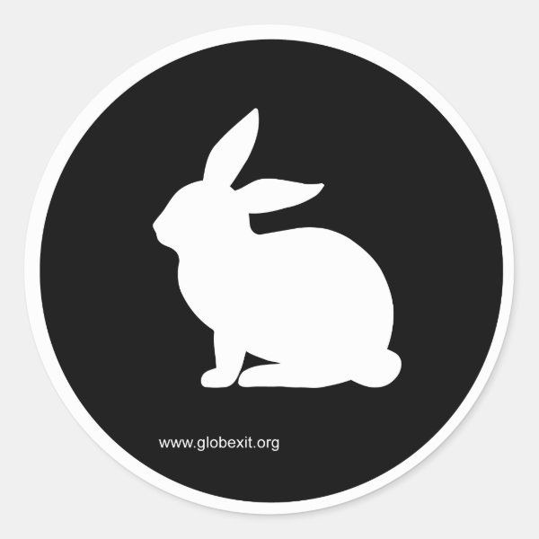 Personalized Follow The White Rabbit Gifts on Zazzle