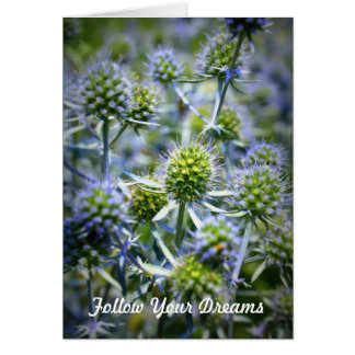 Follow Your Dreams Cards