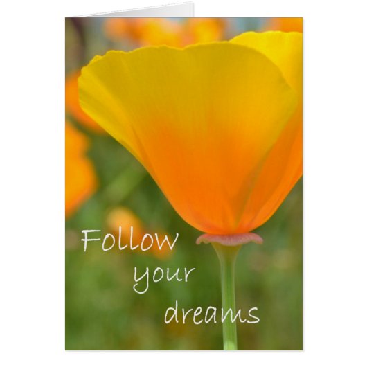 Follow Your Dreams Cards (Front)