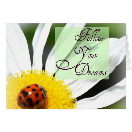 Follow Your Dreams Ladybug Card (Front Horizontal)