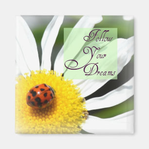 Follow Your Dreams Ladybug Magnet