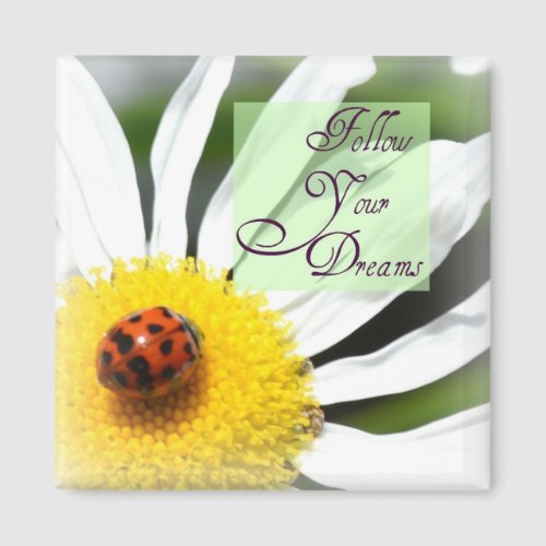 Follow Your Dreams Ladybug Magnet