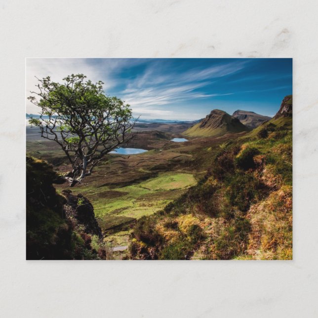 Follow your dreams! postcard (Front)