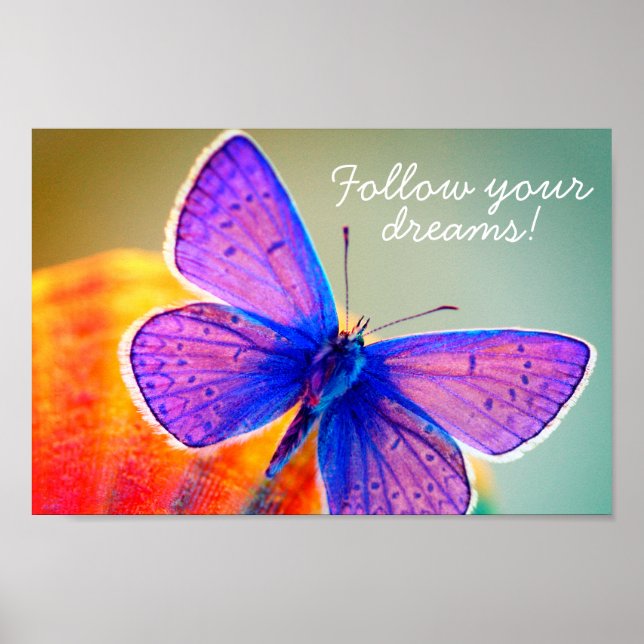 Follow your dreams poster (Front)
