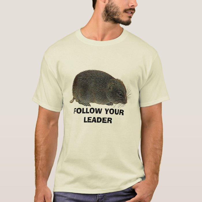 follow your leader shirt