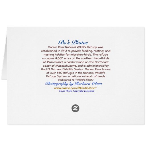 Follow Your Path: Plum Island, MA (Back Horizontal)