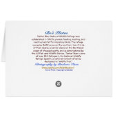 Follow Your Path: Plum Island, MA Cards (Back Horizontal)