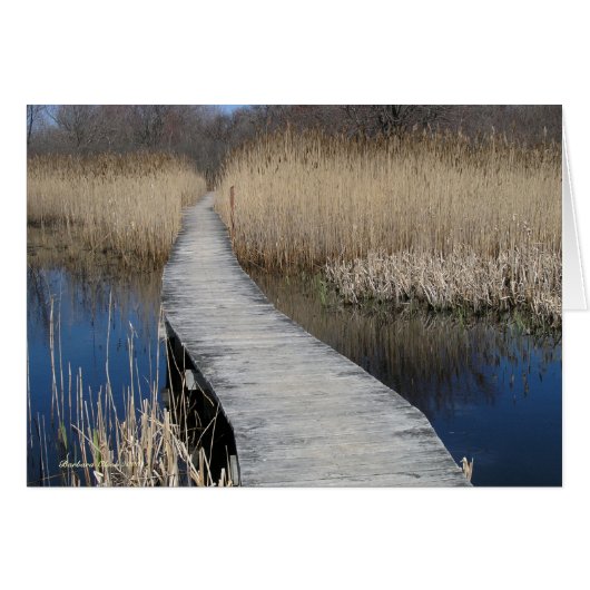 Follow Your Path: Plum Island, MA Cards (Front Horizontal)