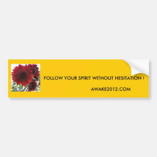 FOLLOW YOUR SPIRIT ... BUMPER STICKER