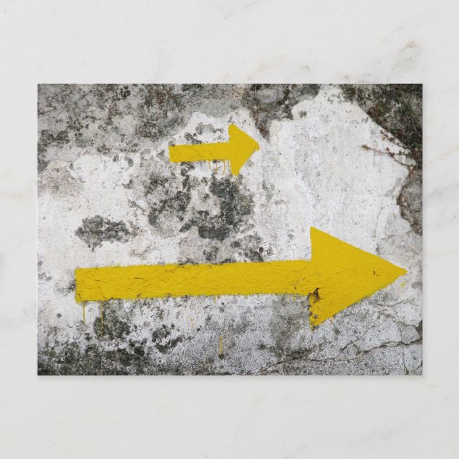 Following the Yellow Arrows Postcard (Front)