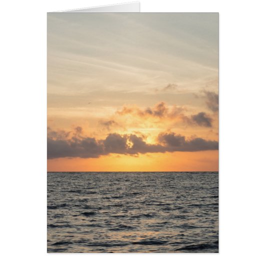 Folly Beach Morning Cards (Front)