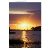 Folly River Sunrays (Front)