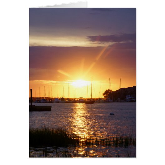 Folly River Sunrays Cards (Front)