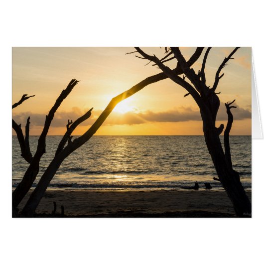 Folly Sunrise Tree Silhouette Cards (Front Horizontal)