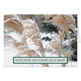 FOND THOUGHTS OF YOU THIS HOLIDAY SEASON/ SNOW