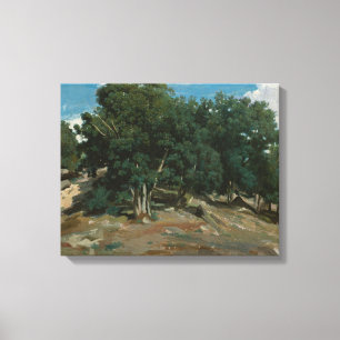 Fontainebleau Oak Trees Canvas Print