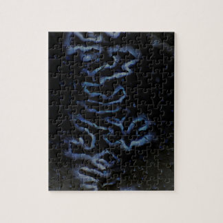 Fontanelle highlight puzzle