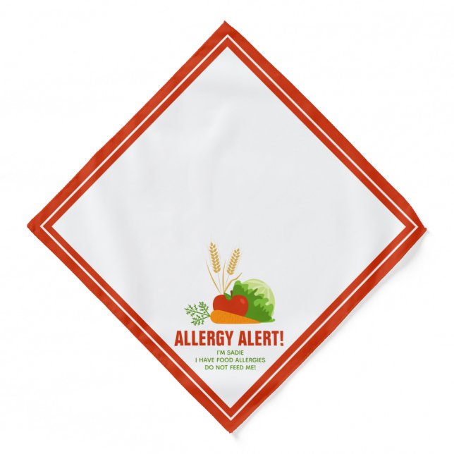Food Allergy Alert With Custom Text & Cartoon Food Bandana (Front)