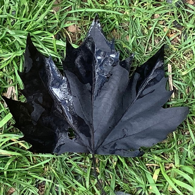 Food and Beverage Label Set . (Creator Uploaded)