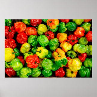 Food colorful Modern Photography Poster