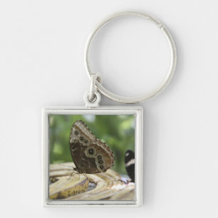 Food for Butterflies Keychain
