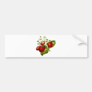 Food fruit leaf leafy leaves bumper sticker