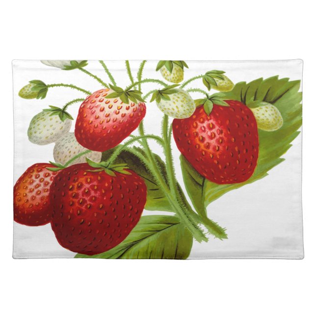 Food fruit leaf leafy leaves placemat (Front)