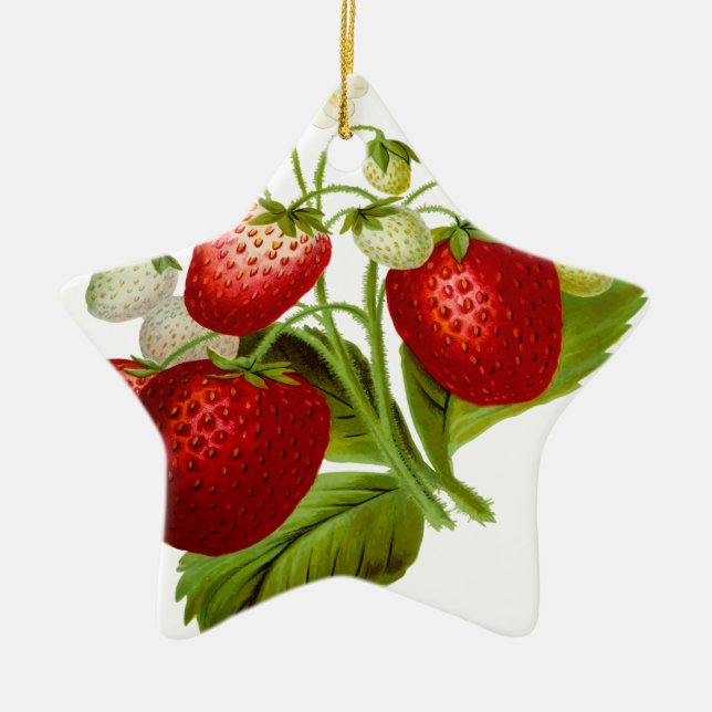 Food fruit leaf leaves ceramic ornament (Front)